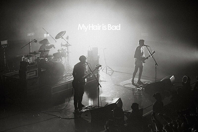 クリープハイプのトリビュートアルバム、7組目の参加アーティストはMy Hair is Bad