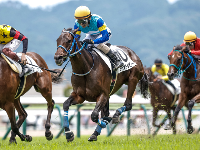 福島6Rの新馬戦を制したミーントゥビー(撮影：下野雄規)