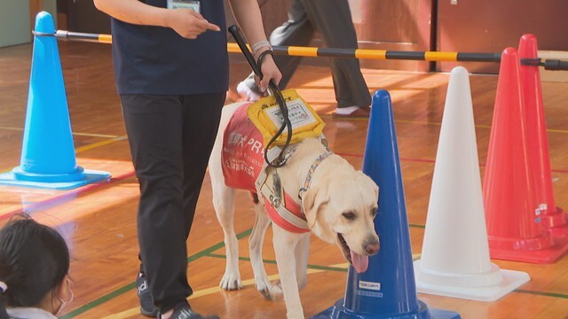 岡山市の小学校にやってきたPR犬の「ナル」