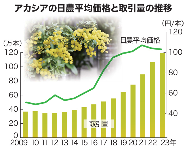 アカシアの日農平均価格と取引量の推移