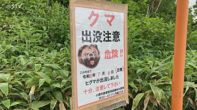 現場付近ではクマの目撃が相次いでいる