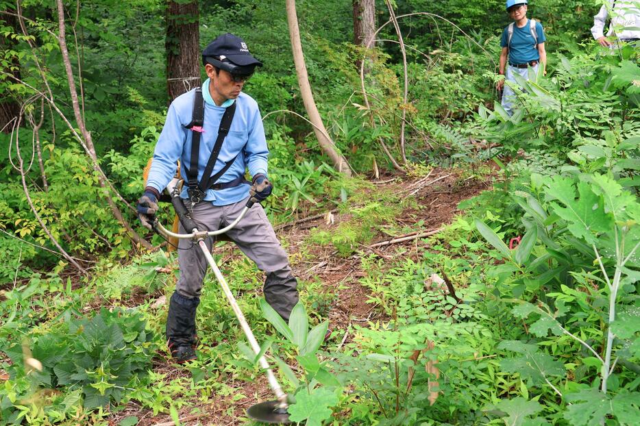 ゴーグル型端末を装着して下刈りする作業員