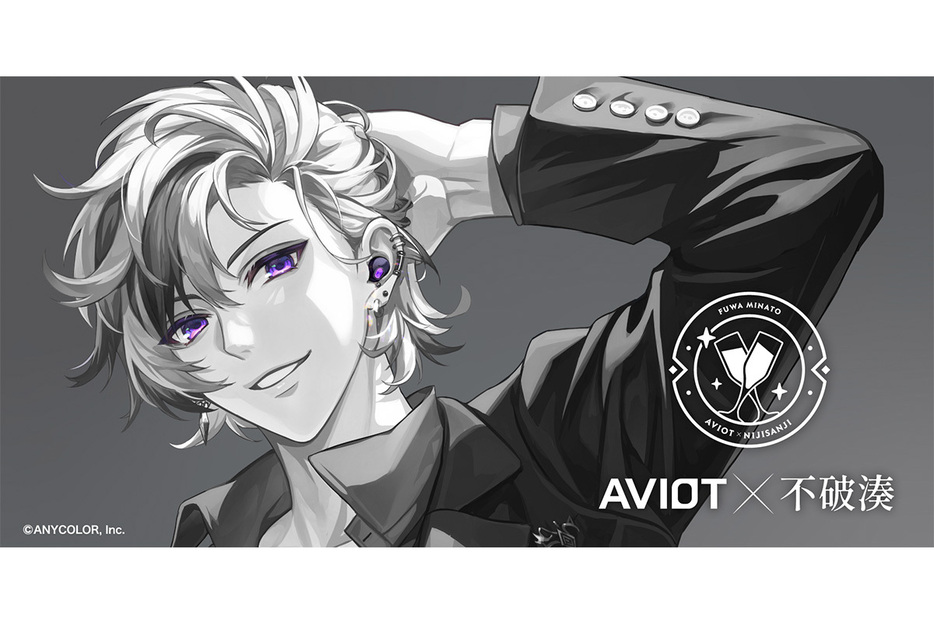 AVIOT「TE-Q3-MNT」