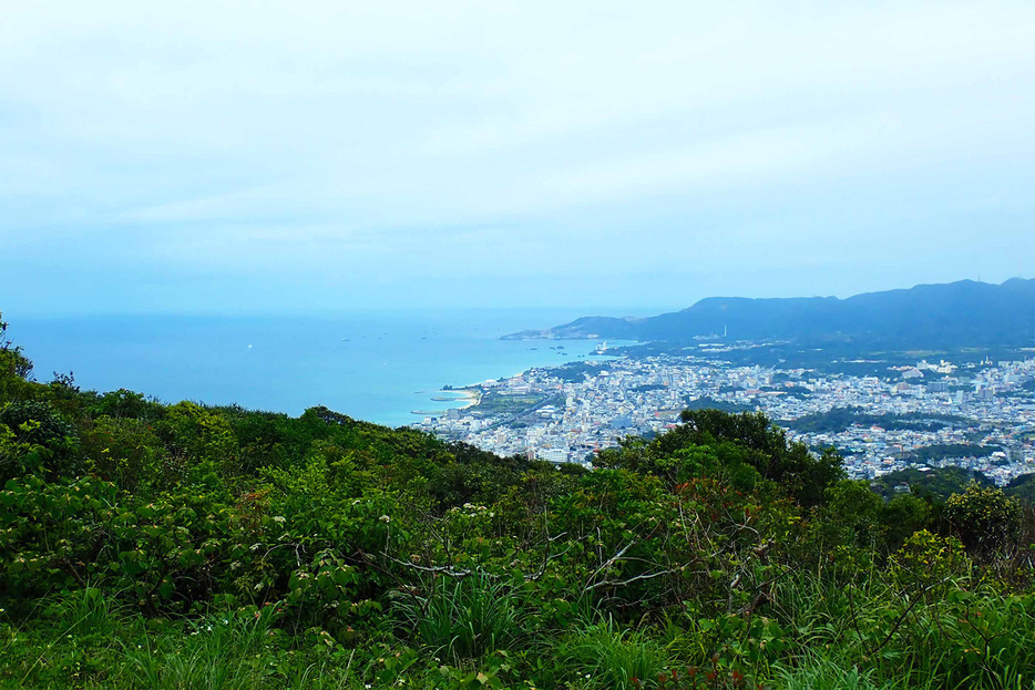 名護岳山頂からの東シナ海を見下ろす眺望