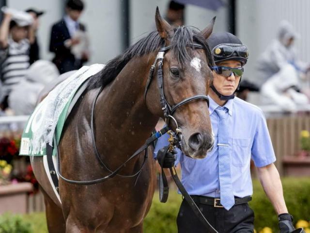 オープン2勝目を狙うゾンニッヒ(今年6月撮影、ユーザー提供：U.Yukiyaさん)