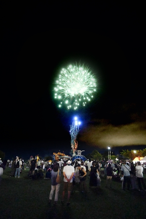 夜空を彩った花火