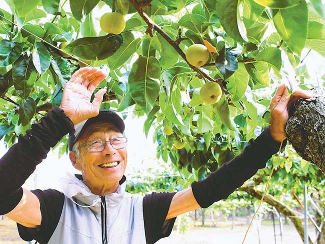 孫の活躍に喜ぶ梨農家の吉田理正さん（秋田県潟上市で）