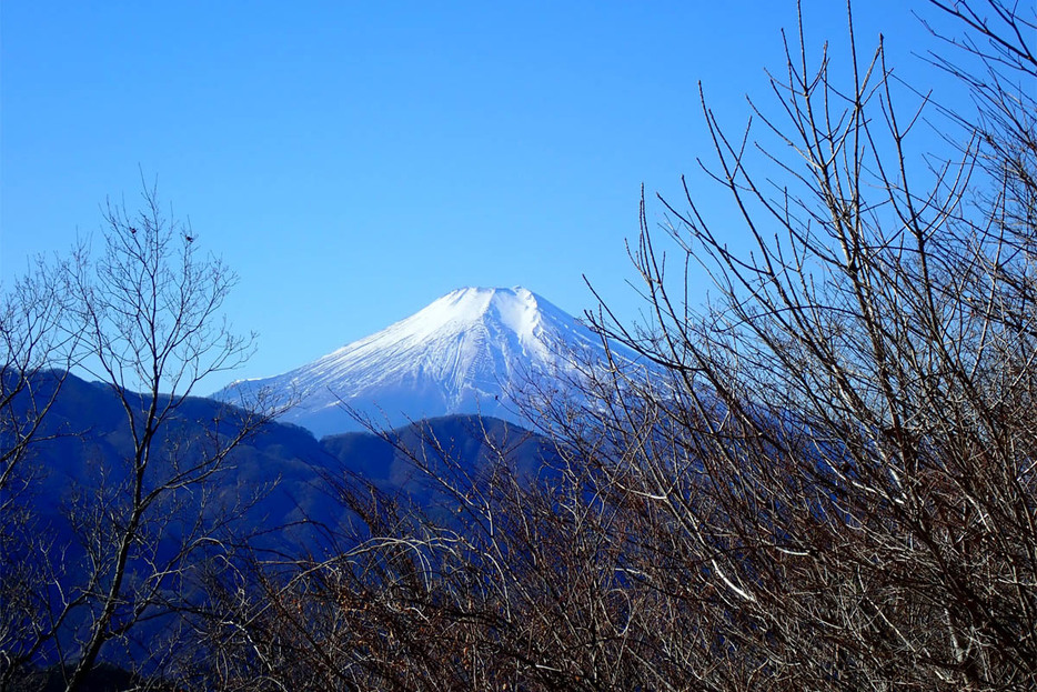 秀麗富嶽十二景、九番山頂の倉岳山から望む雄大な富士山