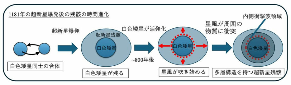 白色矮星どうしの合体から超新星残骸の多層構造形成に至る、超新星「SN 1181」とその残骸の時間進化を示した図