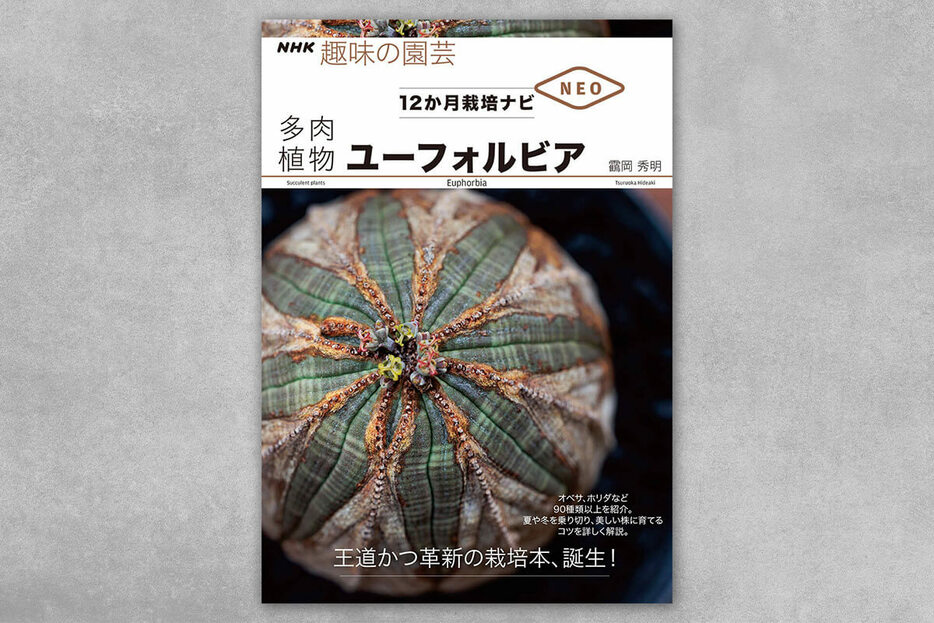 お待ちかねの「ユーフォルビア本」でました！ いま最も信頼できる多肉植物栽培家の一人、靍岡秀明氏が品種や育て方を徹底解説。『NHK趣味の園芸 12か月栽培ナビNEO 多肉植物 ユーフォルビア』（NHK出版）