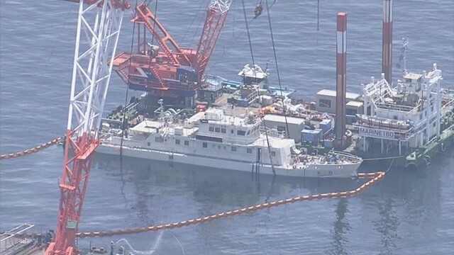 引き揚げられた白鷺　笠岡市沖　6月10日