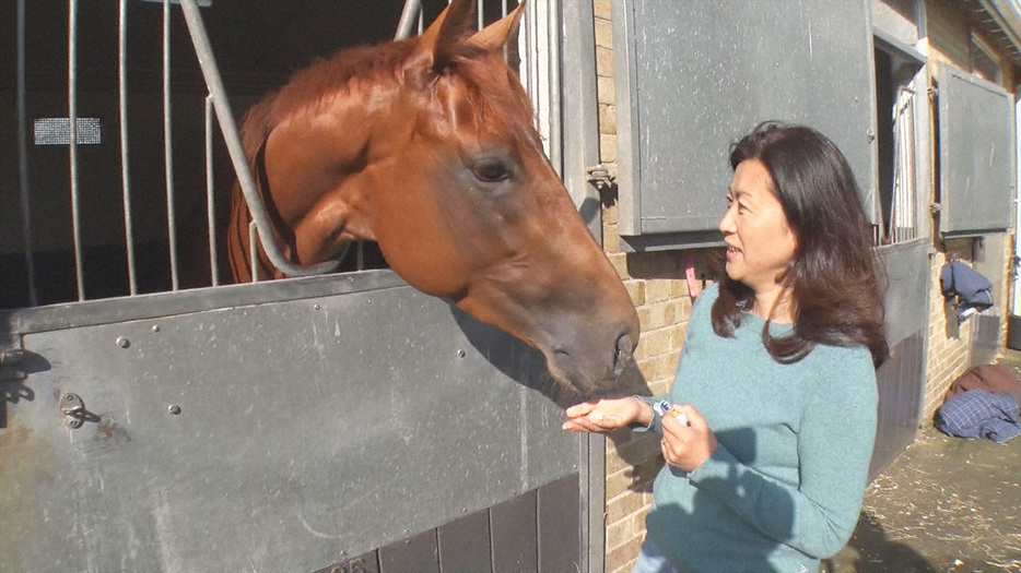 厩舎で馬の様子を見る花子さん