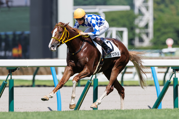 小倉2歳未勝利戦を勝ち上がったワンモアスマイル