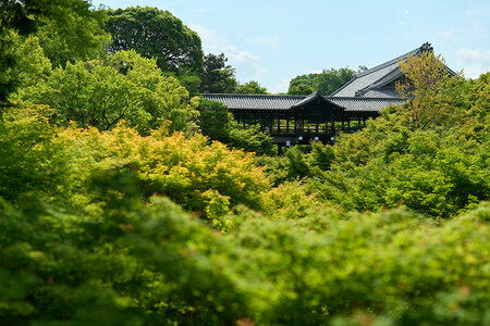 東福寺の通天橋。初夏は青もみじ、秋は紅葉の名所。