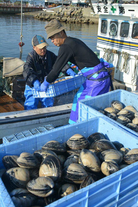 ホッキいっぱいの重たい箱を荷揚げする漁業者＝２日午前６時半ごろ、苫小牧港・西港漁港区