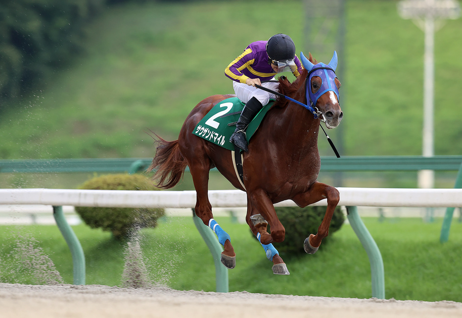 若鮎賞・サウザンドマイルと山本政聡騎手 (C)岩手県競馬組合