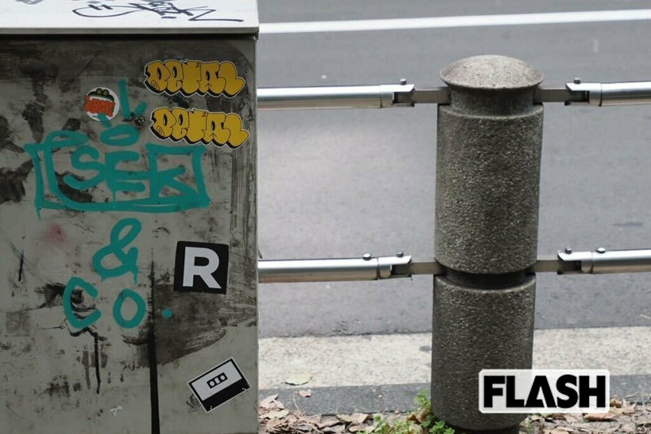 繁華街のあちこちに「R」の文字が…（写真・保坂駱駝）