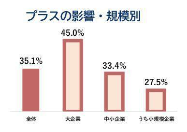 プラスの影響・規模別