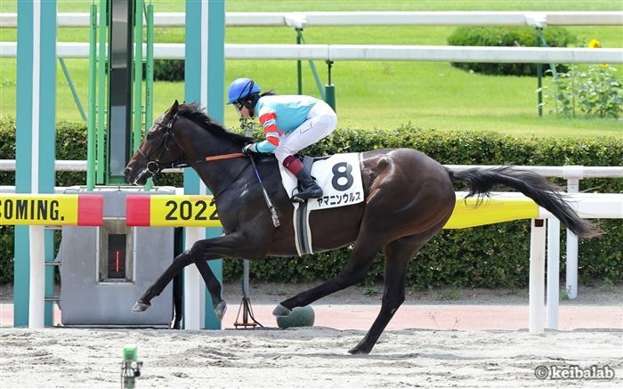 小倉で新馬戦を大楽勝しているヤマニンウルス