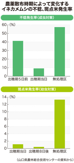 農薬散布時期によって変化する不稔、イネカメムシの斑点米発生率