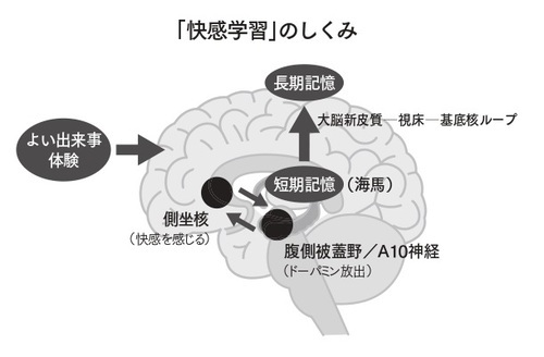 出所：『「おとなしい人」の完全成功マニュアル 内向型の強みを活かして人生を切り拓く方法』（ダイヤモンド社）より抜粋