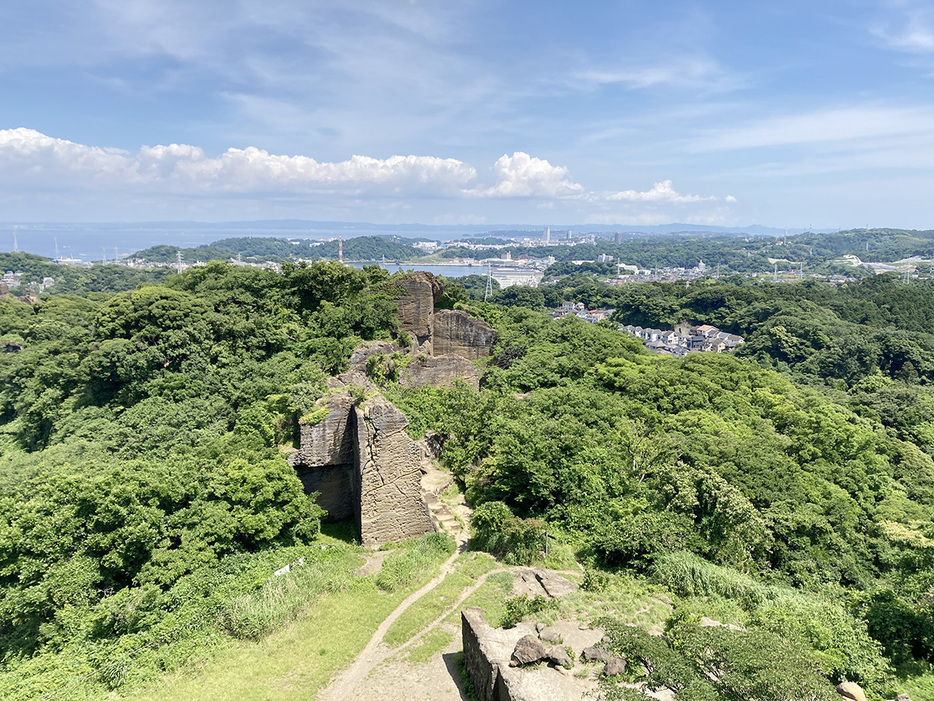 展望台からの眺め