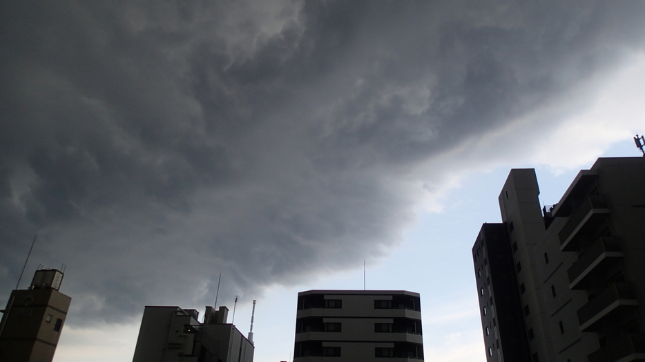 24日(水)午後0時半ごろ　台東区から墨田区方面の空