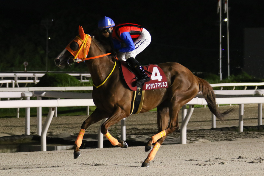 兵庫サマークイーン賞・ハクサンアマゾネスと吉原寛人騎手 (C)兵庫県競馬組合