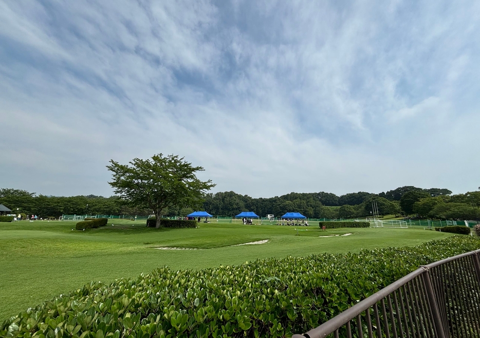 中井運動公園(写真＝K,NISHIYAMA)