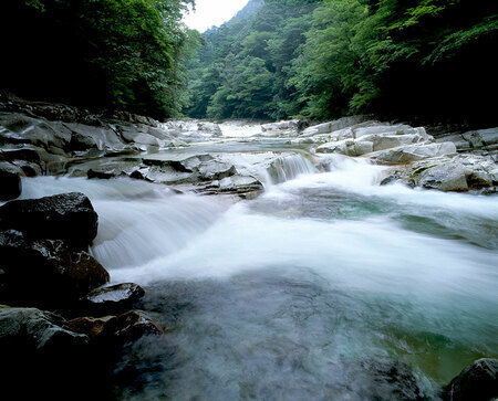 夏の面河渓。