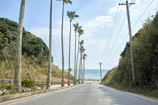 田原市が推進する「サーフタウン構想」とは？（画像提供：田原市サーフタウン構想プロジェクト推進事務局）