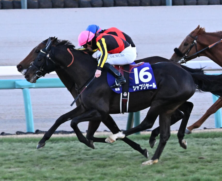 有馬記念を制したレガレイラと戸崎騎手（奥）。手前は2着のシャフリヤール（撮影・千葉一成）