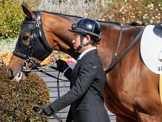 4連勝を目指すテリフィックプラン(今年2月撮影、ユーザー提供：ワラビさん)