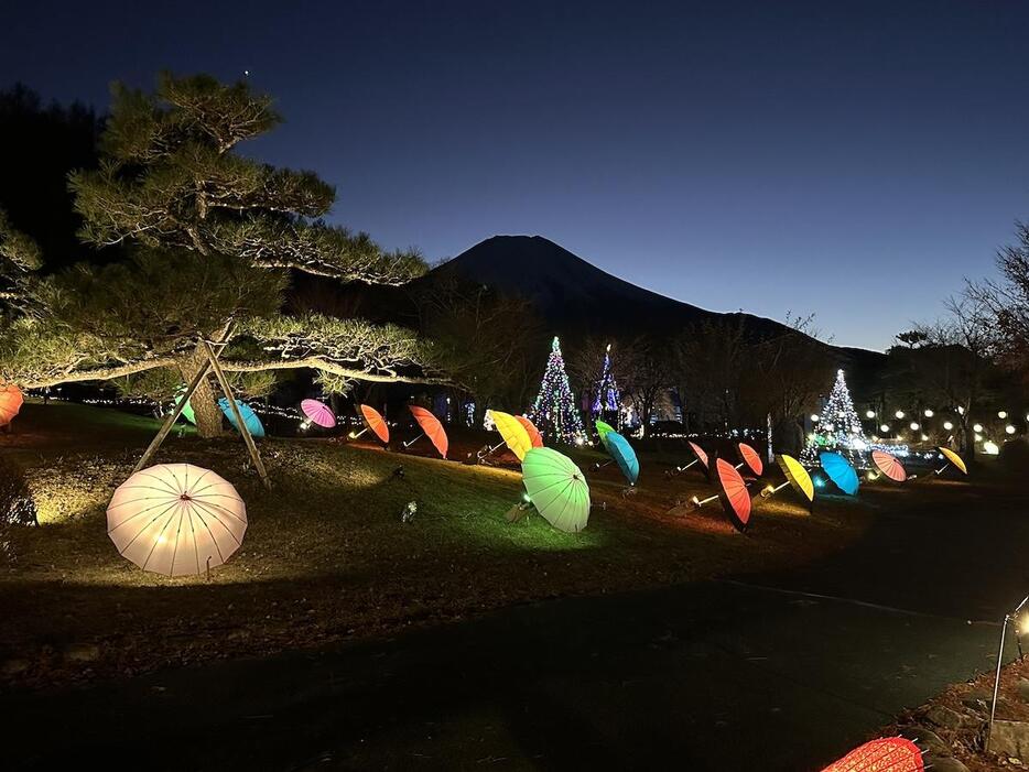 「2024イルミネーションファンタジウム」の様子（写真提供＝花の都公園）