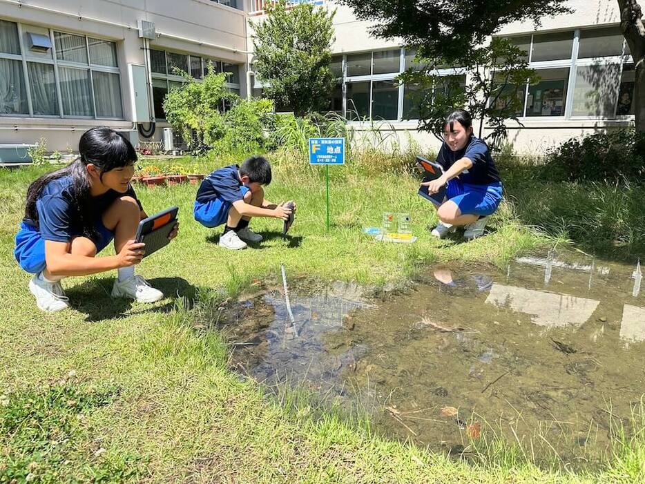 ビオトープを活用した授業風景