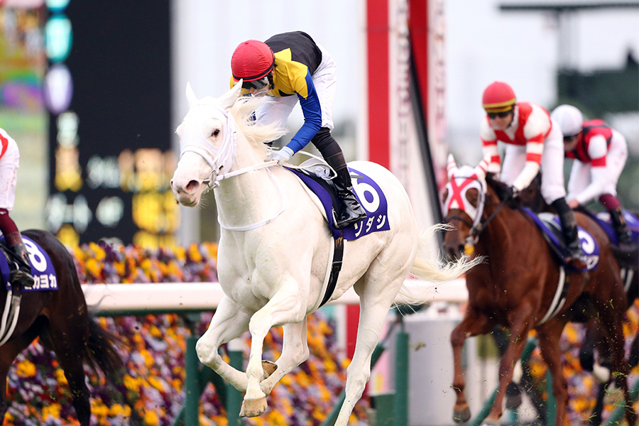 第72回 阪神ジュベナイルフィリーズ 吉田隼人騎手騎乗のソダシが史上初白毛のGI制覇 (c)SANKEI