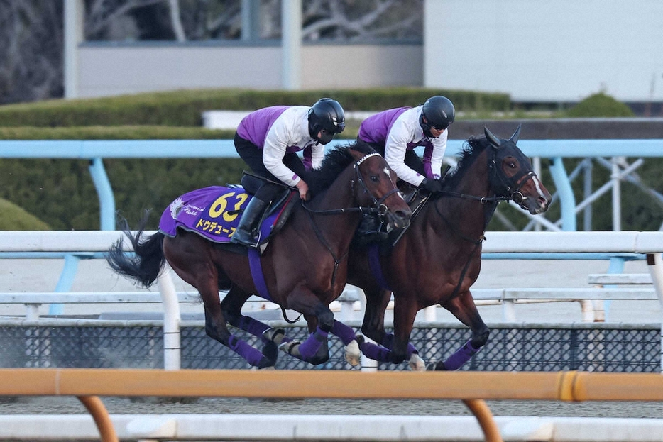 ＜有馬記念＞ポリトラックを併せ馬で追い切るドウデュース（左）