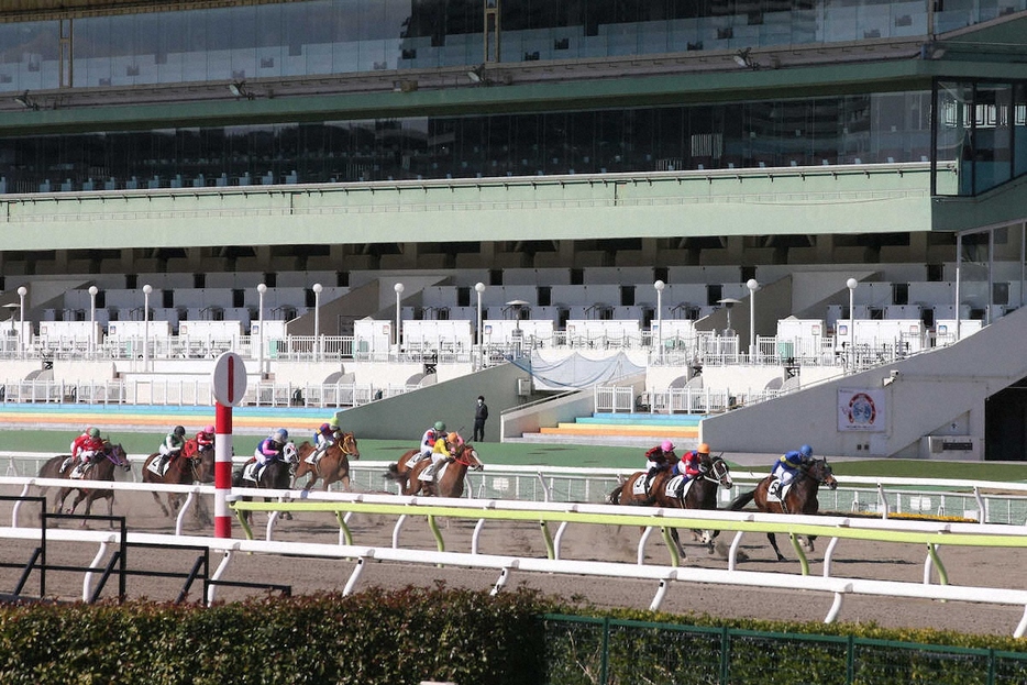 大井競馬場