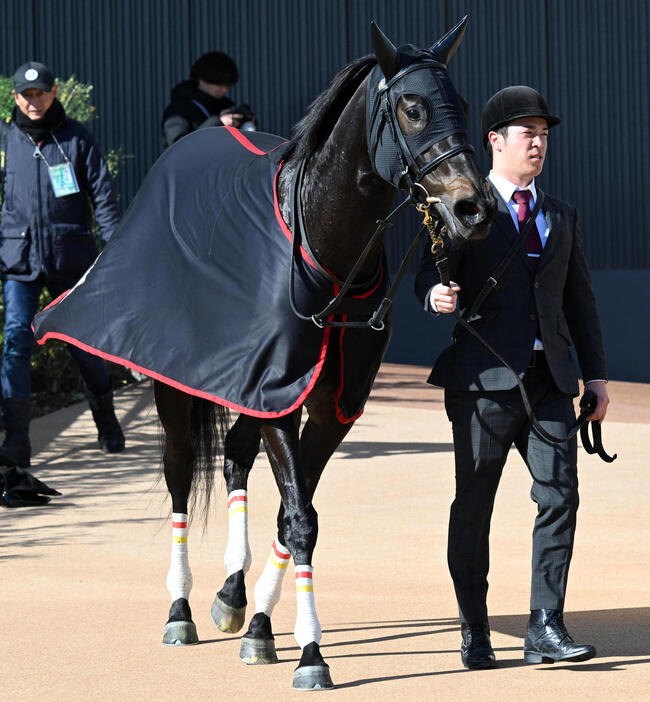 11月30日、新馬戦を制したマディソンガール