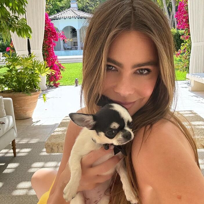 Courtesy of Instagram @sofiavergara