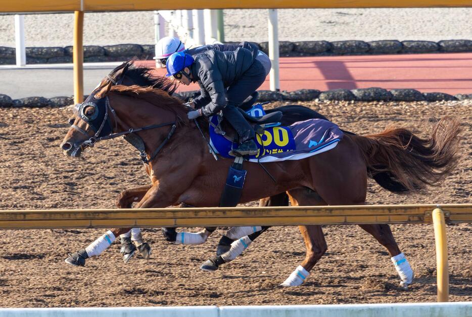 　横山典を背に栗東ＣＷで追い切るダノンデサイル（撮影・石湯恒介）