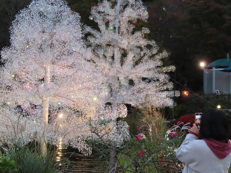 「箱根ガラスの森美術館」の庭園に登場した、クリスタルガラスをまとったクリスマスツリー＝11月、神奈川県箱根町