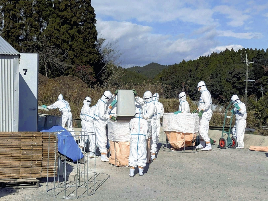 鶏の処分を進める県職員ら（県提供）