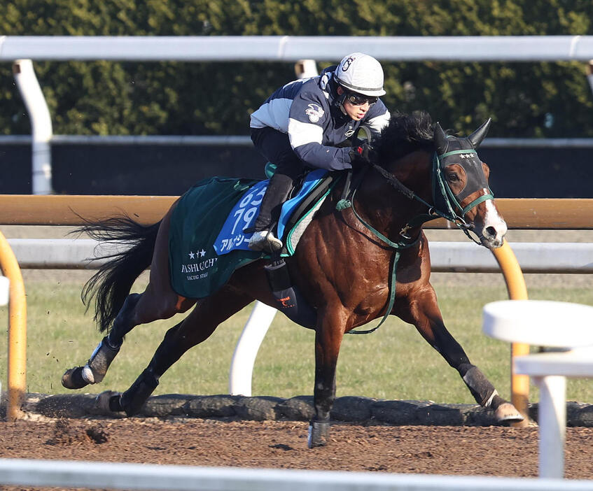 25日、藤岡佑介騎手を背に追い切るアルナシーム