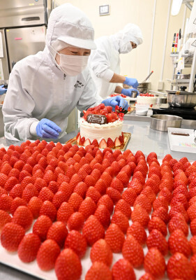 ふんだんにイチゴを使ったクリスマスケーキを仕上げるパティシエ＝２３日、盛岡市八幡町