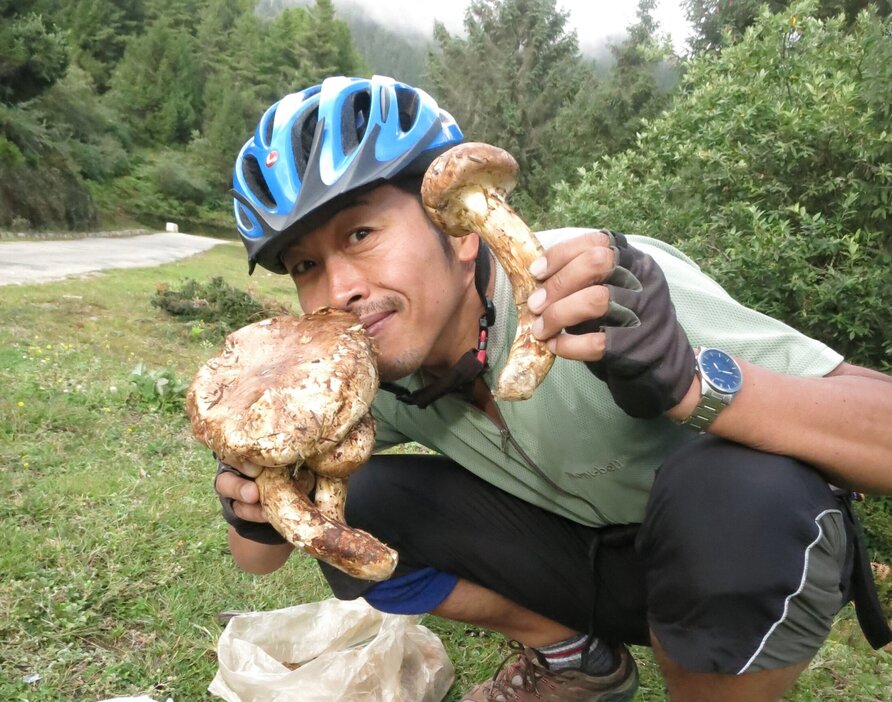 顔とほとんど同じサイズの巨大松茸