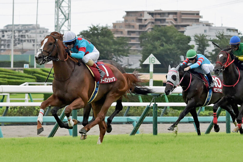 まさしく人馬一体での勝利となったセントライト記念のアーバンシック