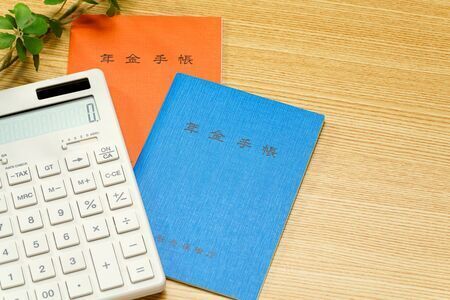 年金で手取り20万円を実現するにはかなり大変？（写真：Wako Megumi/Shutterstock.com）