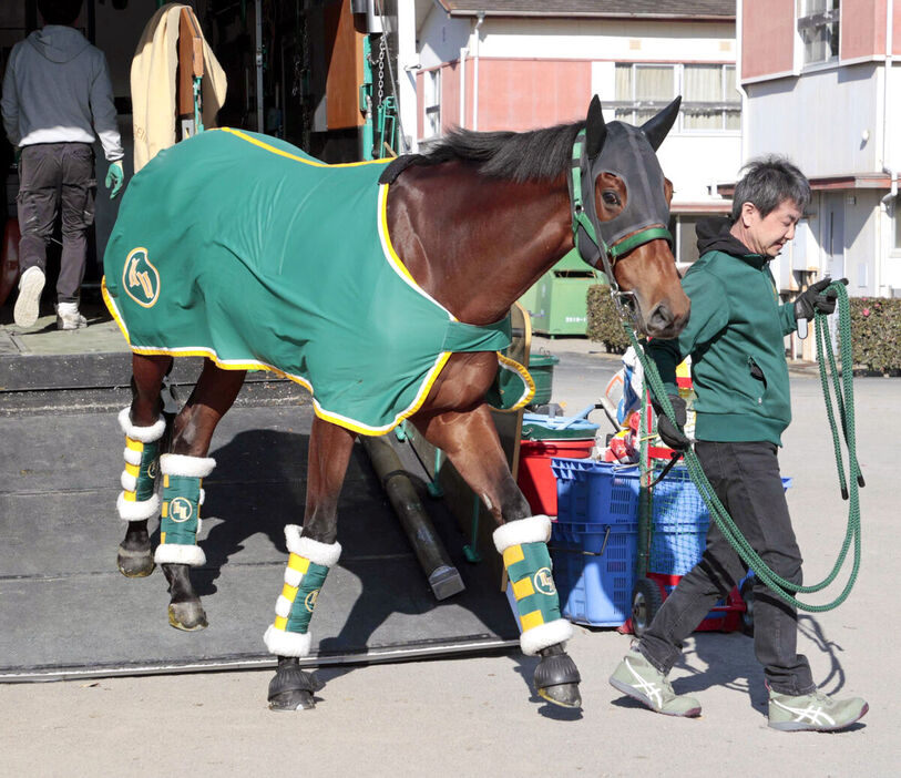 中山競馬場に到着したベラジオオペラ（カメラ・荒牧　徹）