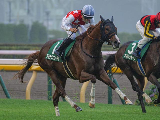 朝日杯FSに出走予定のアルテヴェローチェ(ユーザー提供：藤田ことねさん)